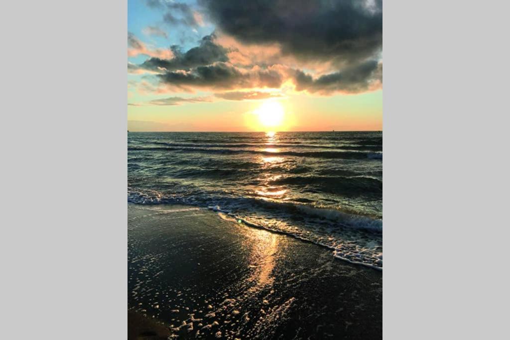Ostsee-Ferienwohnung Uhlnuest Graal-Mueritz Gelbensande 외부 사진