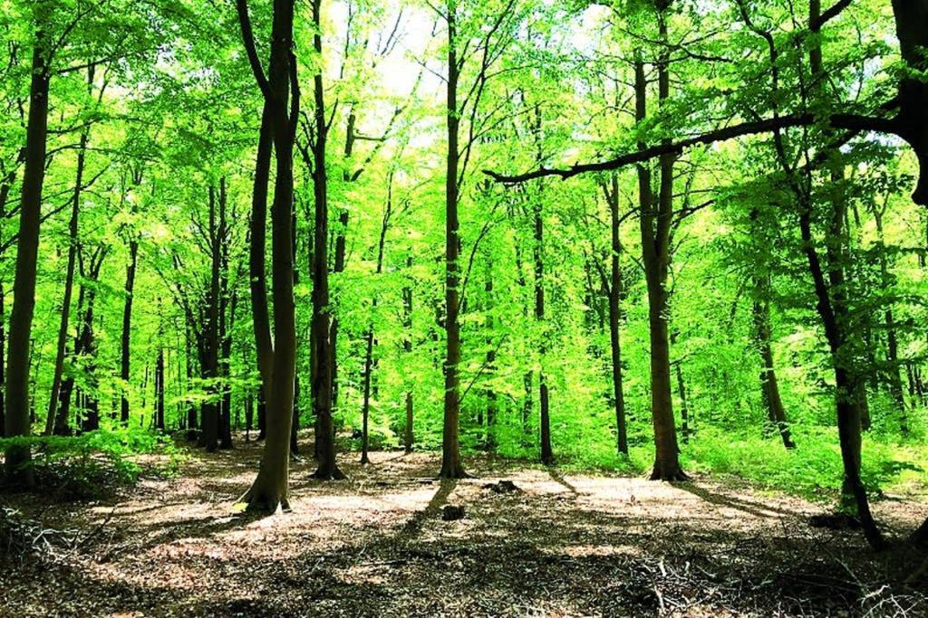 Ostsee-Ferienwohnung Uhlnuest Graal-Mueritz Gelbensande 외부 사진